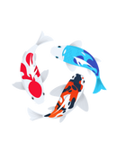 3 Koi
