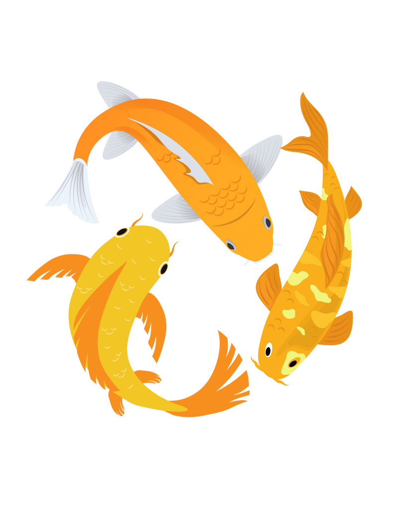 3 Gold Koi